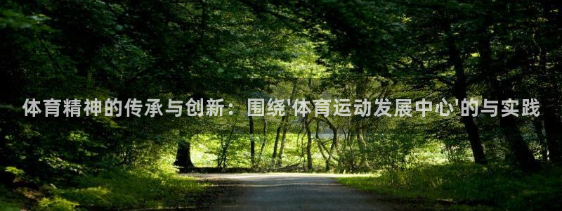 体育精神的传承与创新：围绕\'体育运动发展中心\'的与实践