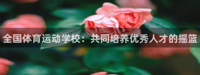 全国体育运动学校：共同培养优秀人才的摇篮