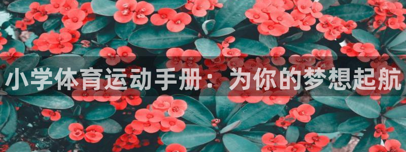 小学体育运动手册：为你的梦想起航