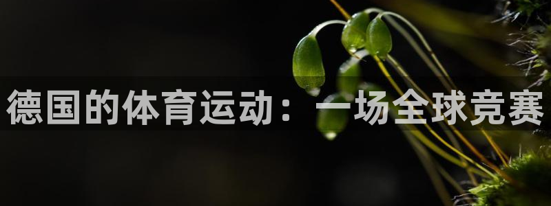 德国的体育运动：一场全球竞赛
