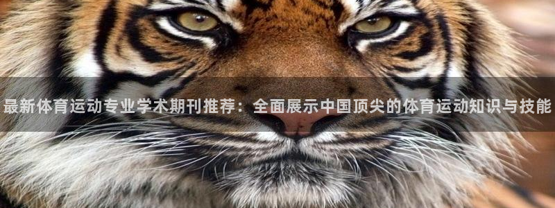最新体育运动专业学术期刊推荐：全面展示中国顶尖的体育运动知识与技能