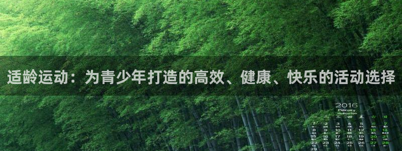 适龄运动：为青少年打造的高效、健康、快乐的活动选择