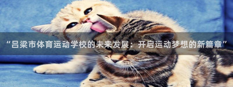 “吕梁市体育运动学校的未来发展：开启运动梦想的新篇章”