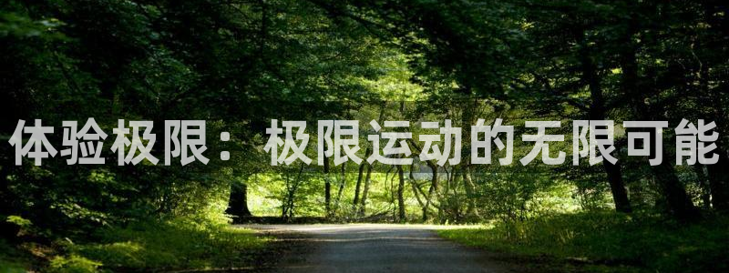 体验极限：极限运动的无限可能