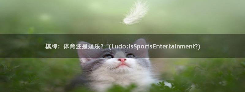 棋牌：体育还是娱乐？\
